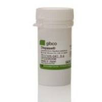 Gibco 17105041 分散酶 II 粉末 5g