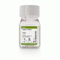 Gibco TrypLE Select 酶 (1X) 无酚红 12563011 100 mL