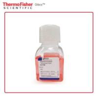 Gibco A1110501 StemPro Accutase 细胞解离试剂 100mL