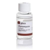 Gibco A1113802 嘌呤霉素盐酸盐 抗生素 1瓶