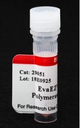 EvaEZ荧光DNA聚合酶活性测定，助力科研新突破！