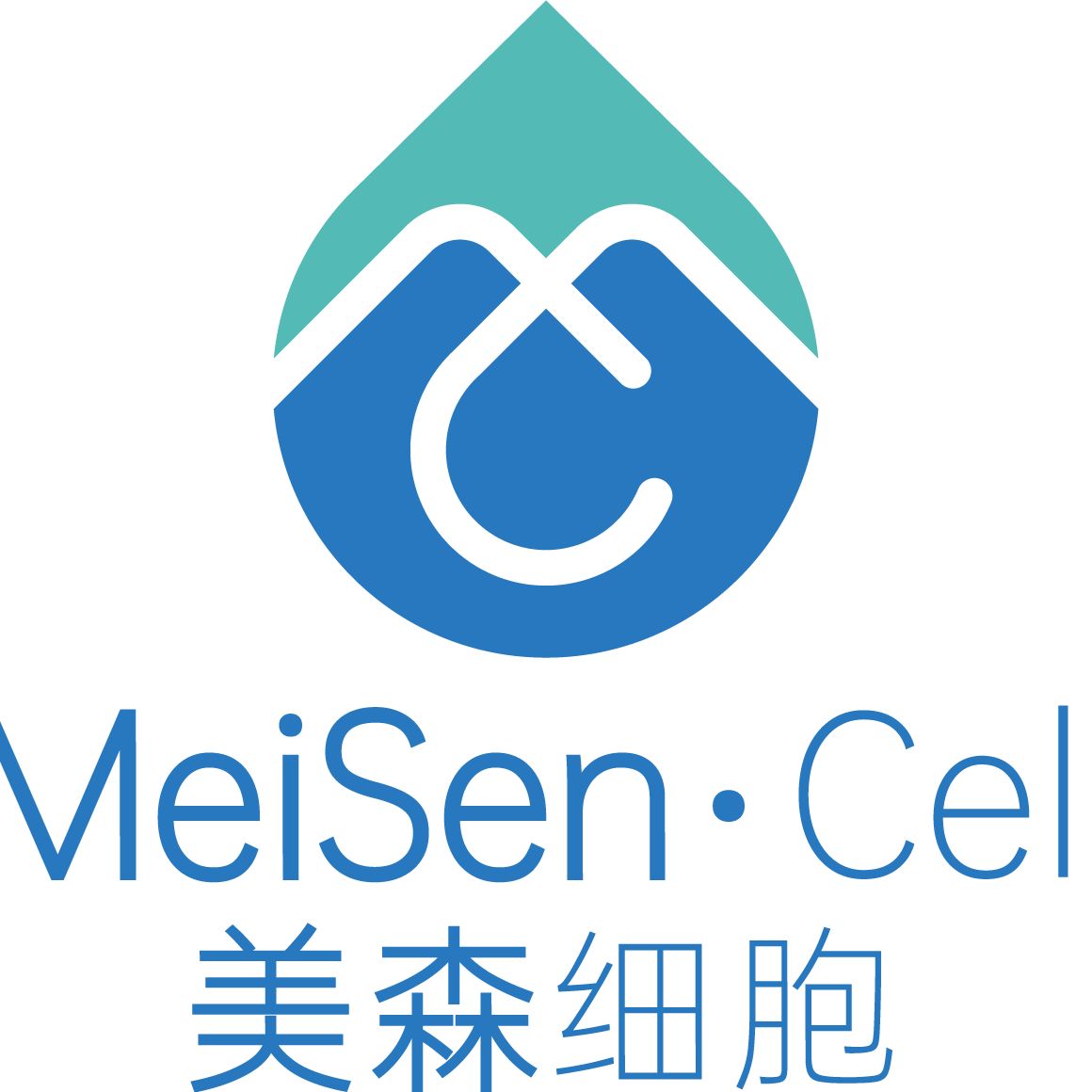 HEI-OC1细胞敲除mMIAT基因细胞系