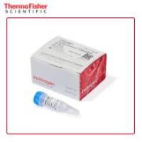 Invitrogen 13778075 Lipofectamine RNAiMAX 转染试剂 0.75 mL