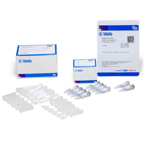cDNA合成SMARTer试剂SMARTer PCR cDNA Synthesis Kit