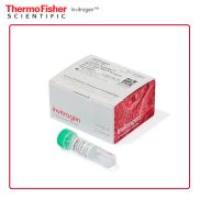 Invitrogen LMRNA003 Lipo MessengerMAX 转染试剂 0.3 mL