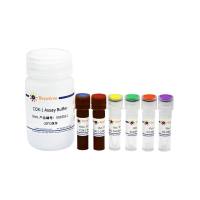 环氧化酶-1(COX-1)抑制剂筛选试剂盒