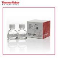 Thermo Lipofectamine 3000 转染试剂 L3000150 15 mL