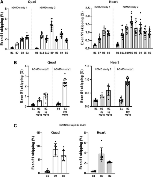 小身躯，大使命：挑战人体最大基因DMD人源化小鼠