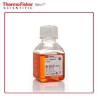 17502001 Gibco N-2 添加剂 (100X) 50 mL