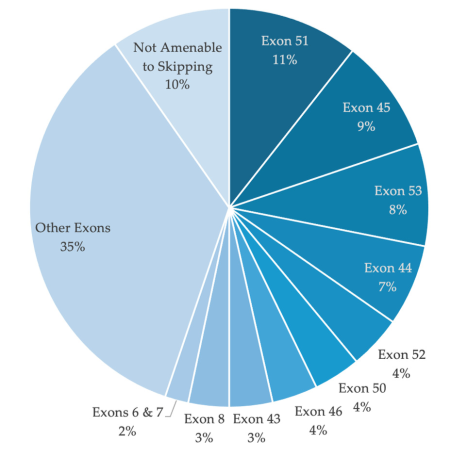 小身躯，大使命：挑战人体最大基因DMD人源化小鼠