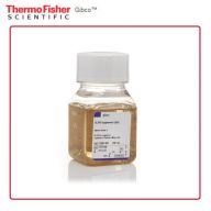 12587001 Gibco B-27 添加剂 (50X) 去除维生素 A 100 mL