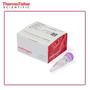 赛默飞 Lipofectamine RNAiMAX 转染试剂 13778100 0.1 mL