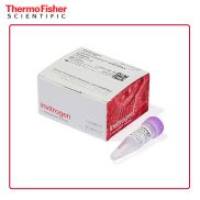 赛默飞 Lipofectamine RNAiMAX 转染试剂 13778100 0.1 mL