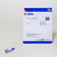 电泳用DNA marker-DL1,000 DNA Marker