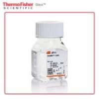 Gibco 35050061 GlutaMAX 添加剂 100 mL