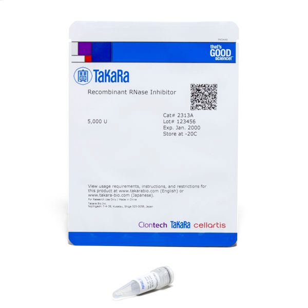重组型RNA酶抑制剂Recombinant RNase Inhibitor