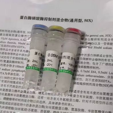 S17-1λpir 化学感受态细胞