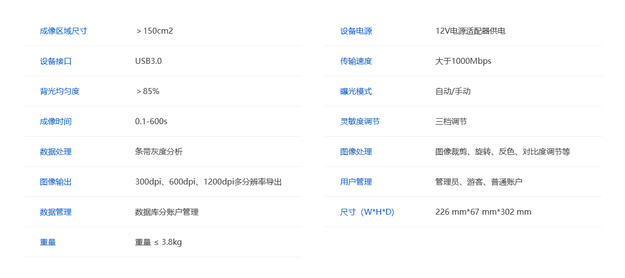 瑞沃德qTouch免疫印迹成像仪