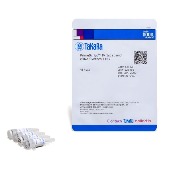 cDNA合成试剂PrimeScript™ IV 1st strand cDNA Synthesis Mix