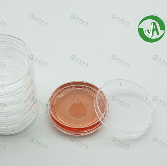 上海晶安PLL多聚赖氨酸包被共聚焦培养皿14mm
