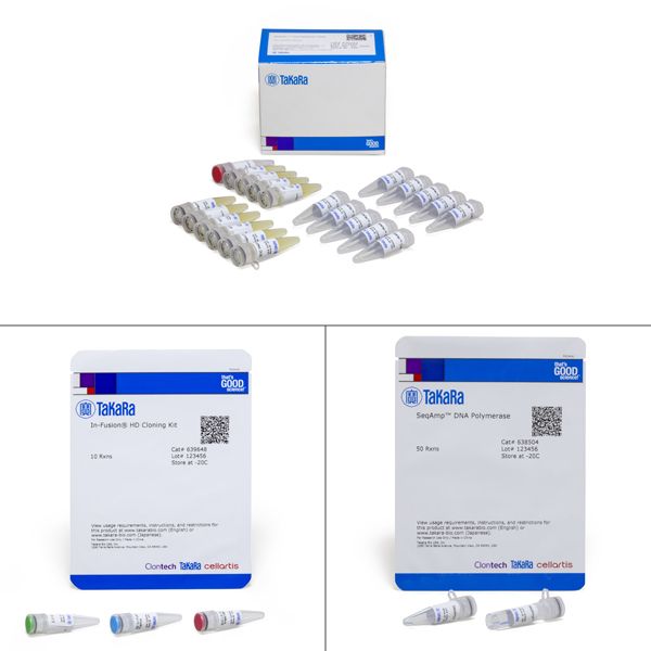 RACE扩增试剂盒SMARTer RACE 5’/3’ Kit