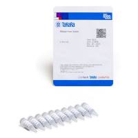 无RNA酶水RNase-free Water