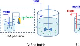 不同细胞培养强化工艺的生物反应器生产率和培养基成本比较
