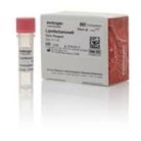 赛默飞 STEM00015 Lipo Stem Transfection Reagent干细胞转染试剂  1.5 mL
