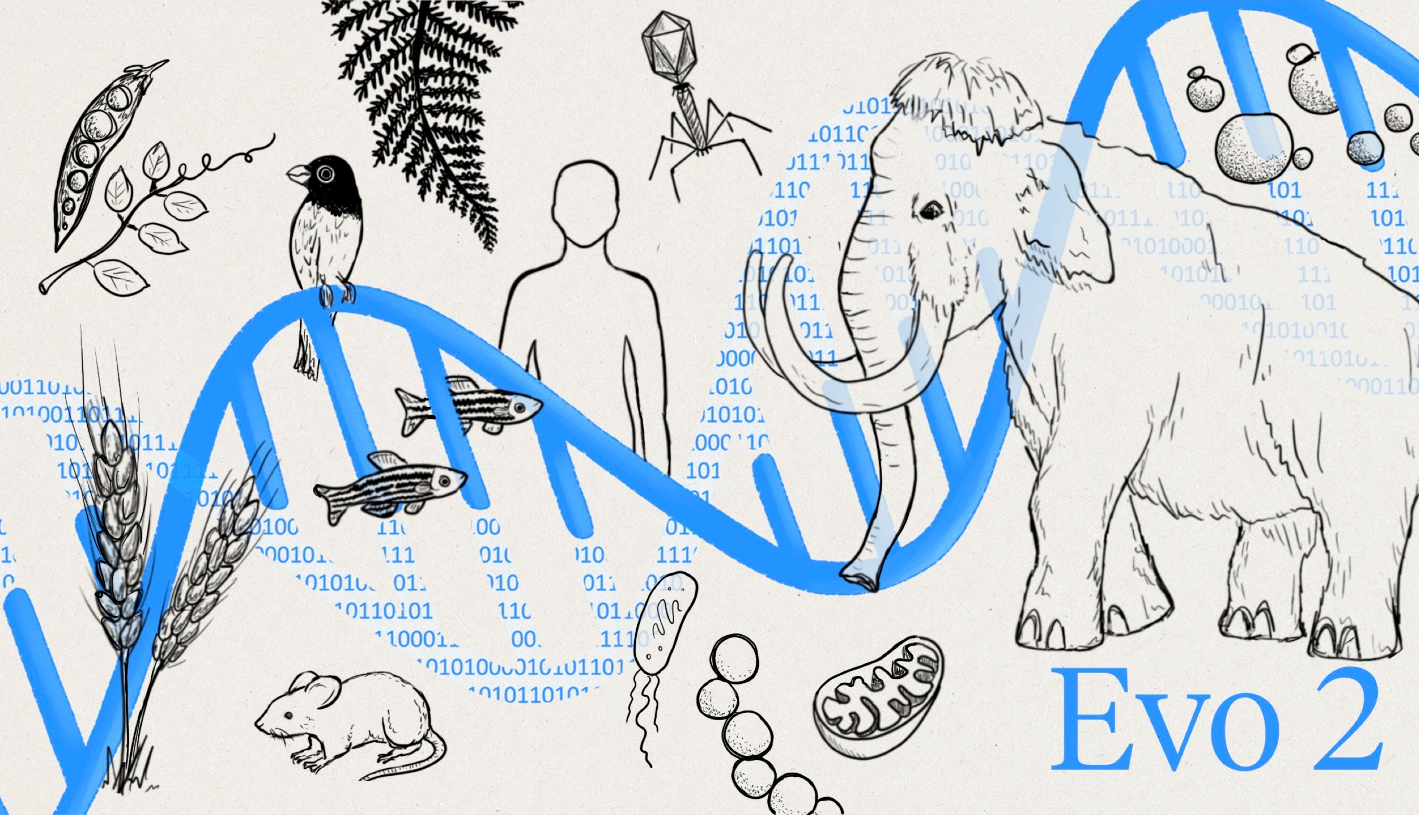 Evo 2 与津渡生科 GeneLLM™ 共启生物科学的大模型时刻