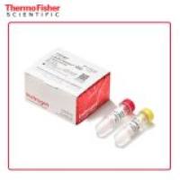 Invitrogen L3000008 Lipo3000 转染试剂 0.75 mL