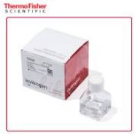 Thermo Lipo RNAiMAX 转染试剂 13778500 15 mL