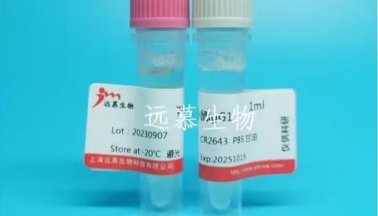 一抗和二抗的定义、作用与选择