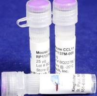 Mouse CCL11 (Eotaxin-1) (Yeast-derived