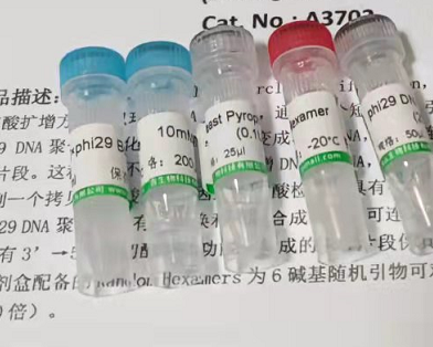 S17-1λpir 化学感受态细胞