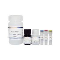 GTP酶活性检测试剂盒(显色法)