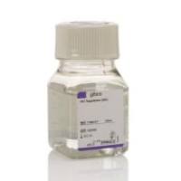 Gibco 21060017 HAT 补充剂 (50X) 100mL