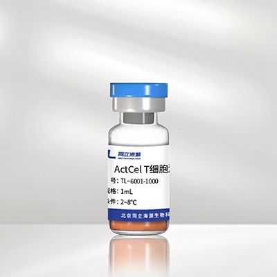 ActCel T细胞激活试剂