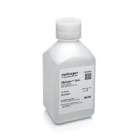 维百奥生物现货销售RNAlater™ 稳定液(AM7021)