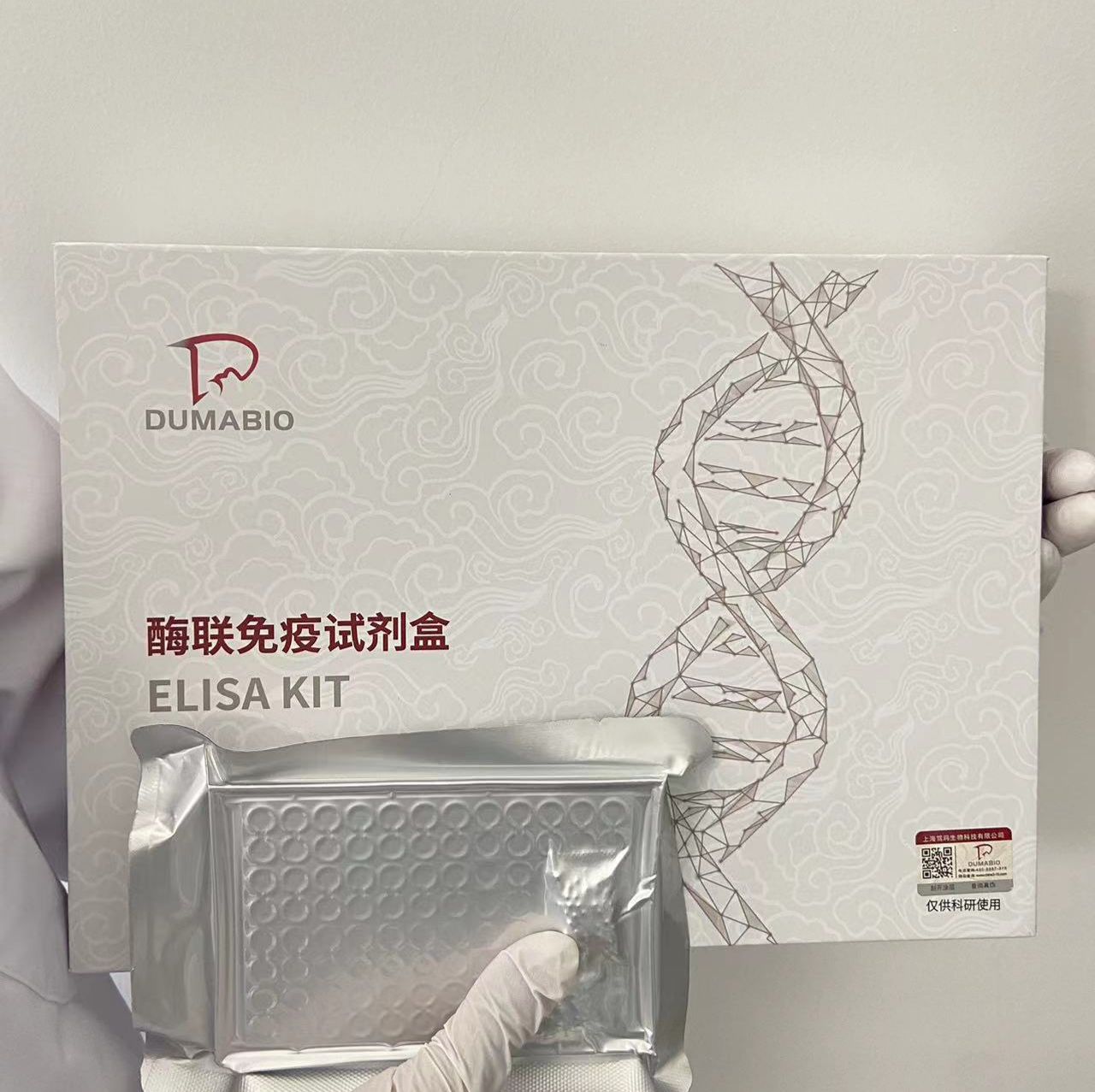兔蛋白酪氨酸磷酸酶受体B(PTPRB)酶联免疫试剂盒