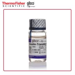 Gibco 51300044 胰岛素-转铁蛋白-硒-丙 酮酸钠 (ITS-A) (100X) 10mL