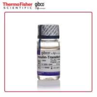 Gibco 51300044 胰岛素-转铁蛋白-硒-丙 酮酸钠 (ITS-A) (100X) 10mL