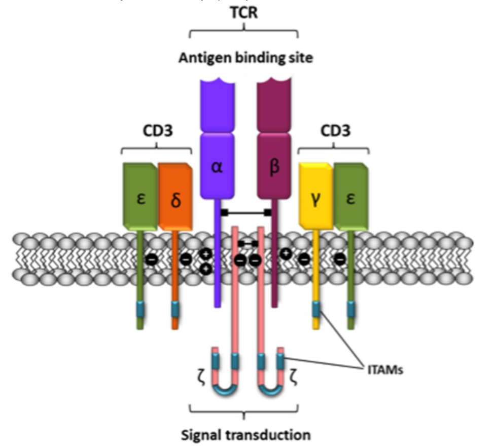Research Grade gocatamig Biosi