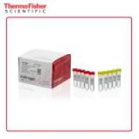 L3000075 Invitrogen Lipofectamine 3000 转染试剂  5 x 1.5 mL
