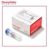 13778030 Invitrogen Lipofectamine RNAiMAX 转染试剂 0