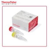 赛默飞 L3000001 Lipofectamine 3000 转染试剂 0.1 mL