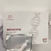 人丝裂原激活蛋白激酶激活蛋白激酶3 (MAPKAPK3)酶联免疫试剂盒