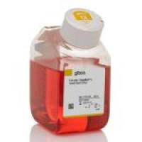 Gibco 31765035 Ham’s F-12 营养混合物 GlutaMAX 添加剂 500 mL