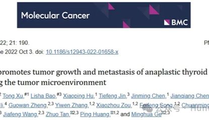IF=37.3丨MOL CANCER：利用斑马鱼等肿瘤移植模型揭示甲状腺未分化癌的生长与转移机制