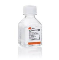 Gibco 11067030  HT 添加剂 (100X) 50mL