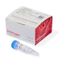 Thermo Fisher 11668019 Lipofectamine 2000 转染试剂1.5 mL